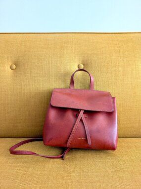 mansur gavriel mini all leather lady bag